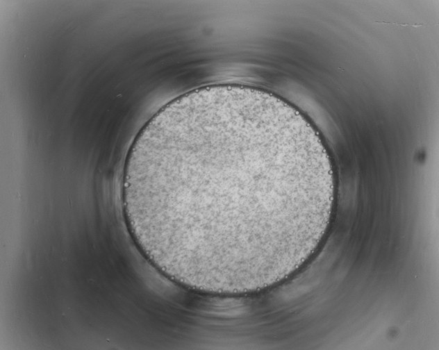 X0000102781338200808251107