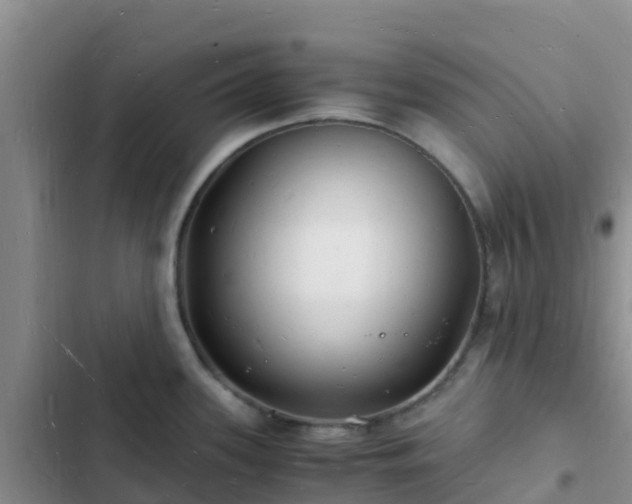 X0000102781339200808251107