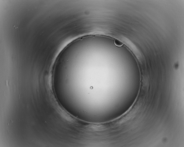 X0000102781340200808251107