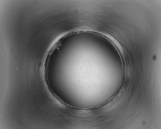 X0000102781341200808251107