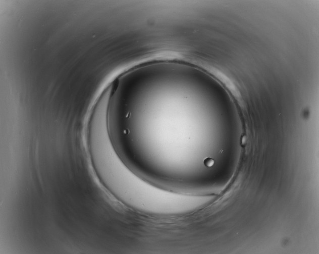 X0000102781342200808251107