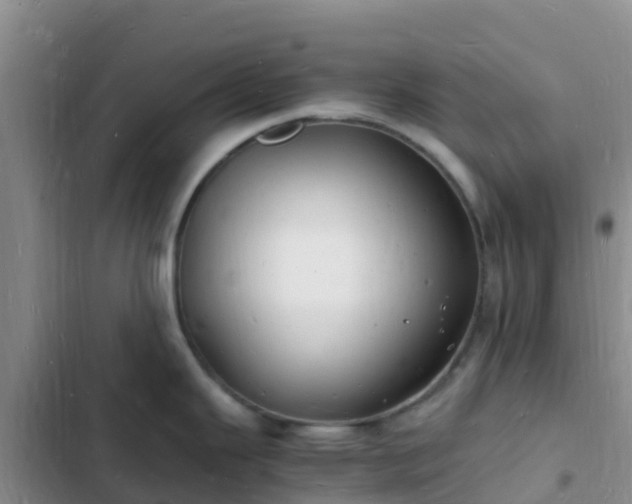 X0000102781343200808251107