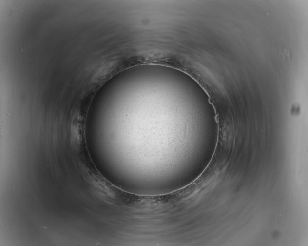 X0000102781346200808251106