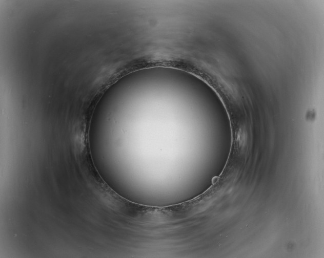 X0000102781348200808251106