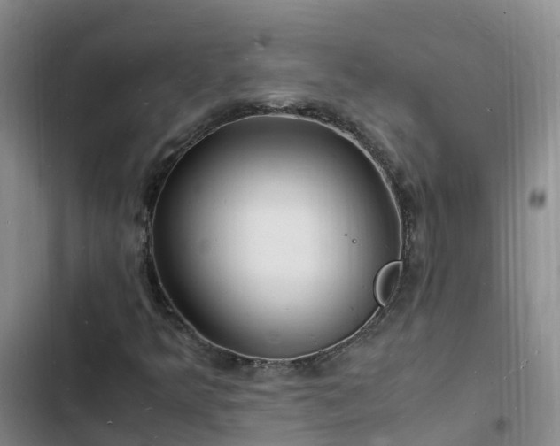 X0000102781349200808251106