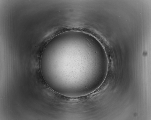 X0000102781350200808251106