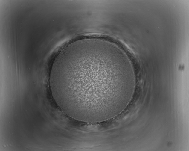 X0000102781351200808251106