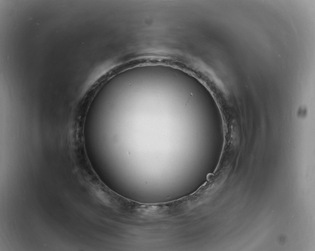 X0000102781352200808251106