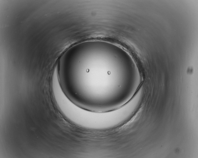 X0000102781353200808251106