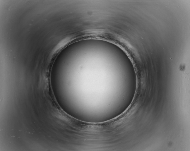 X0000102781354200808251106