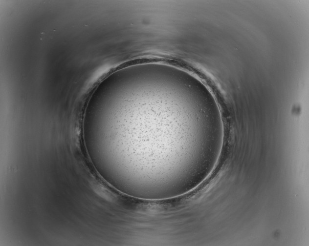 X0000102781355200808251106