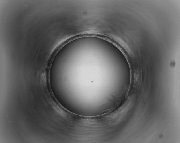 X0000102781356200808251106