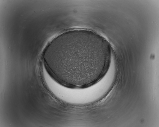 X0000102781357200808251106