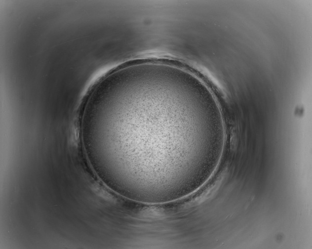 X0000102781358200808251106