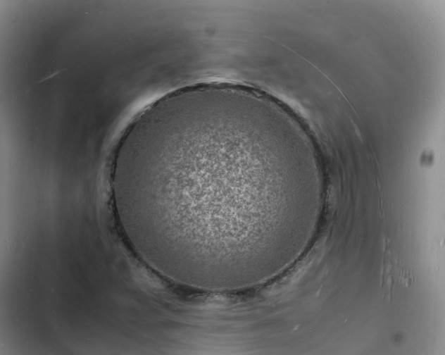 X0000102781359200808251106