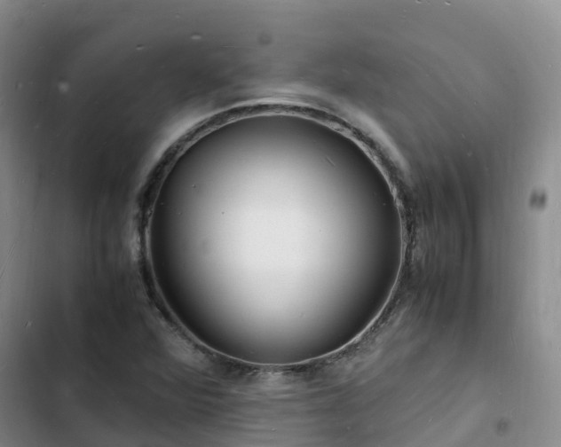 X0000102781360200808251106