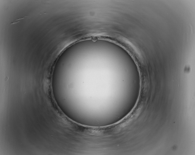 X0000102781361200808251106