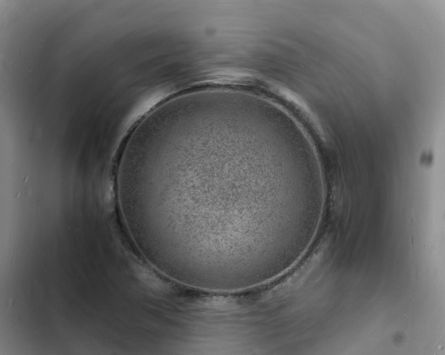 X0000102781362200808251106