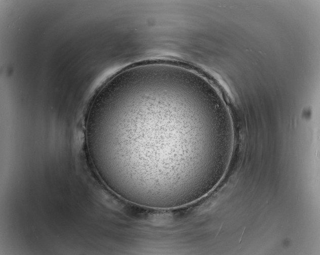 X0000102781363200808251106