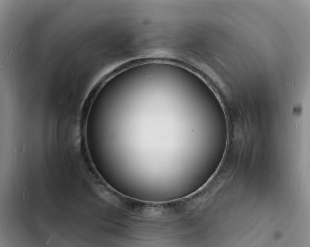 X0000102781364200808251106