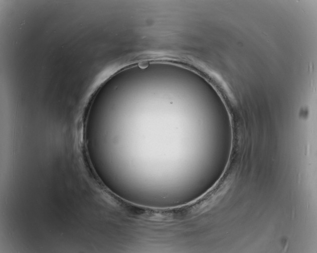 X0000102781365200808251106