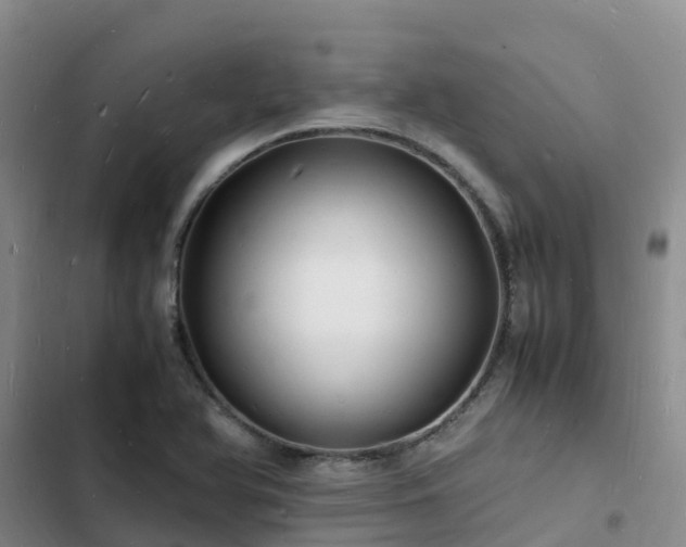 X0000102781366200808251106