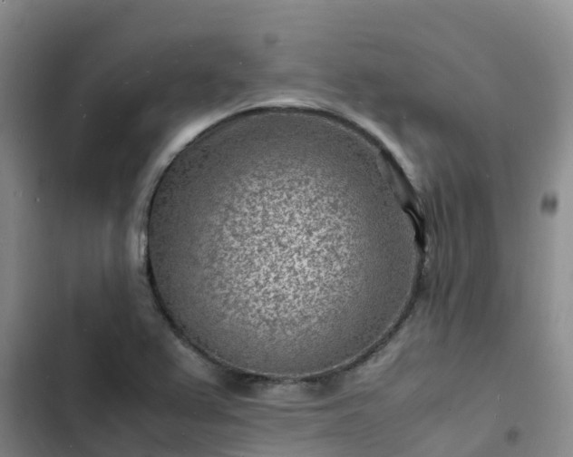 X0000102781367200808251106