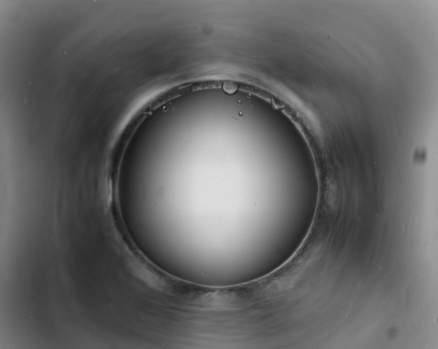 X0000102781368200808251105