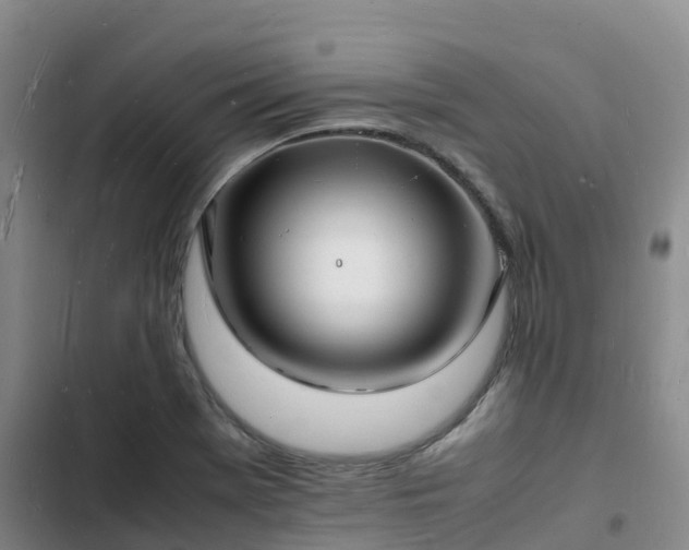 X0000102781369200808251105