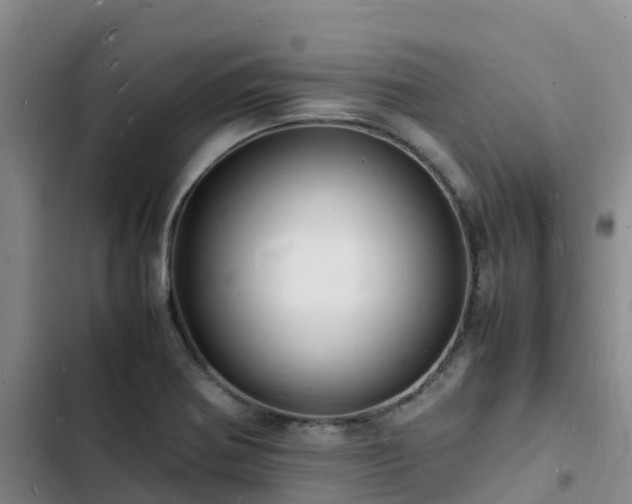 X0000102781370200808251105