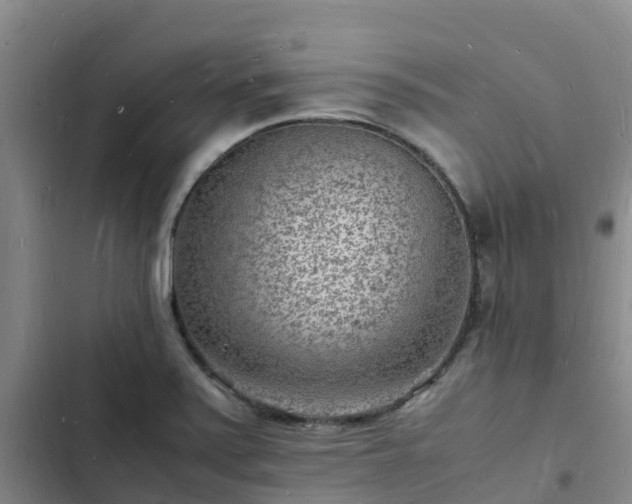 X0000102781371200808251105