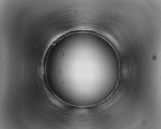 X0000102781372200808251105