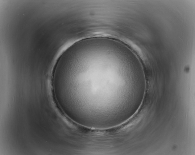 X0000102781373200808251105