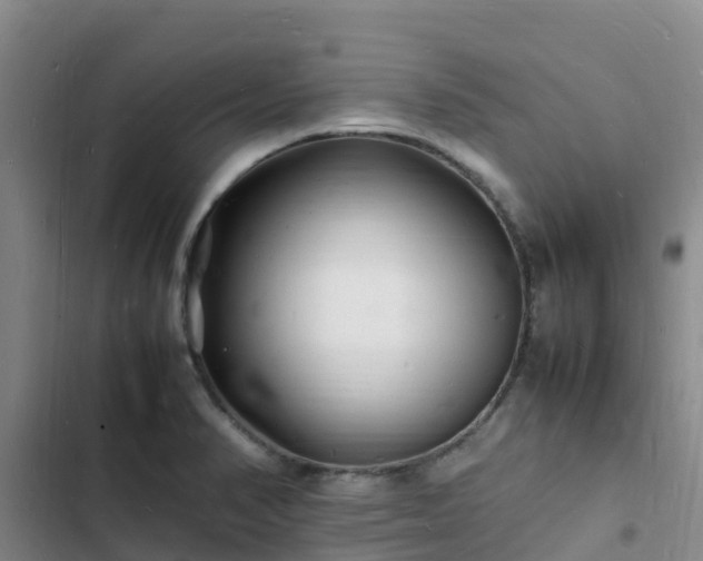 X0000102781374200808251105