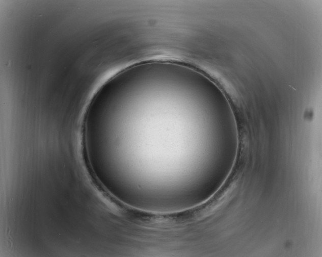 X0000102781375200808251105