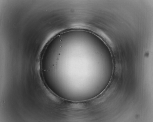 X0000102781376200808251105