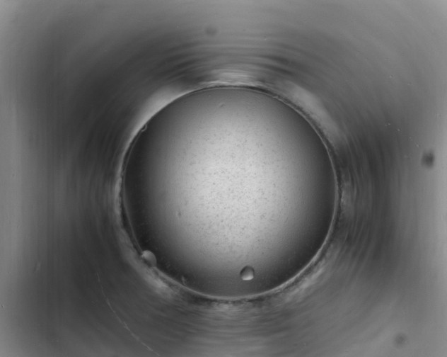 X0000102781378200808251105