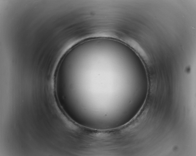 X0000102781380200808251105