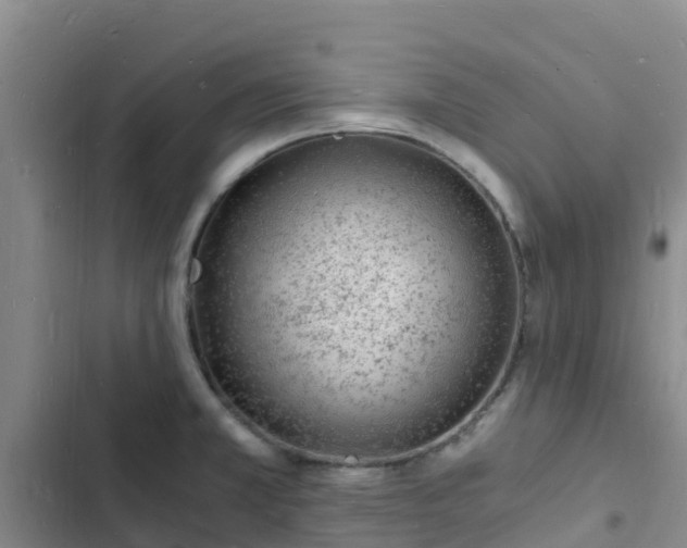 X0000102781381200808251105