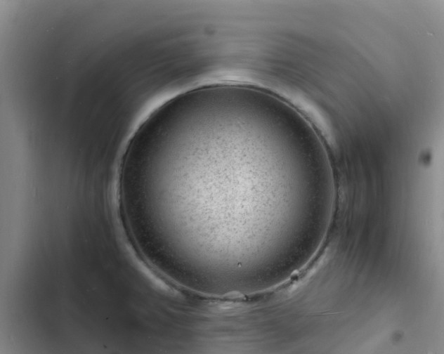 X0000102781382200808251105