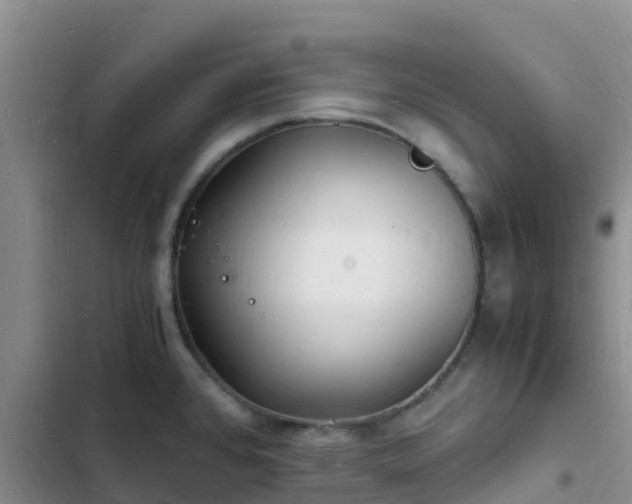 X0000102781384200808251105