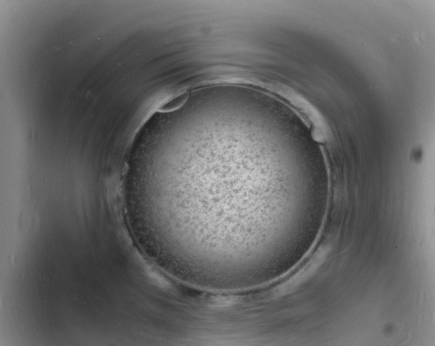 X0000102781385200808251105