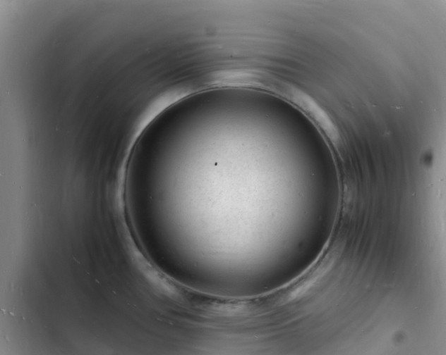 X0000102781386200808251105