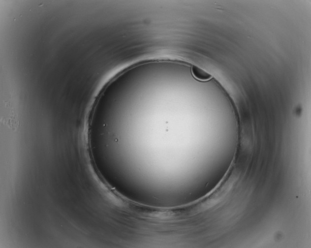 X0000102781388200808251105