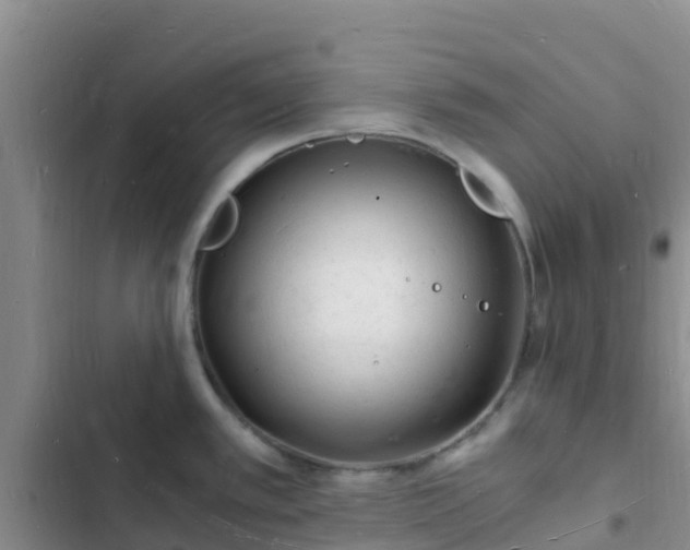 X0000102781389200808251105