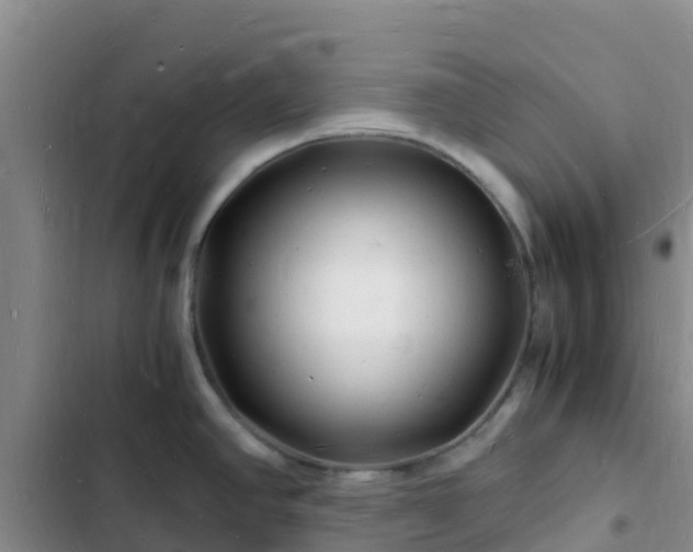 X0000102781390200808251105