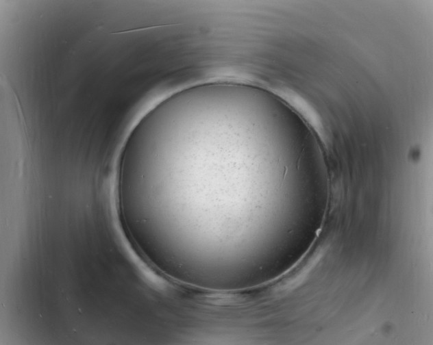 X0000102781391200808251105