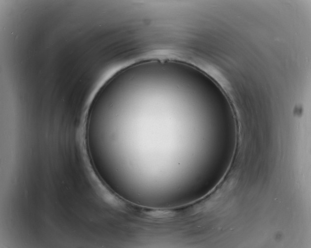 X0000102781392200808251105