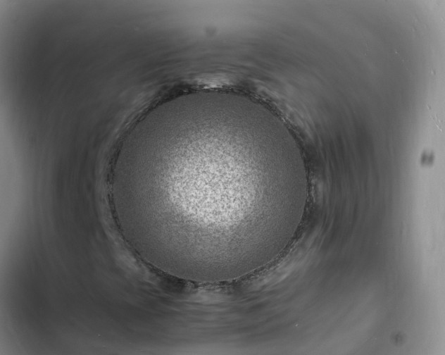 X0000102781393200808251104