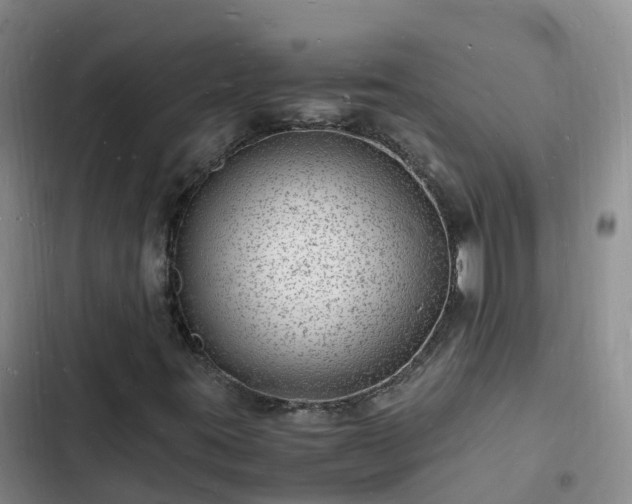 X0000102781395200808251104